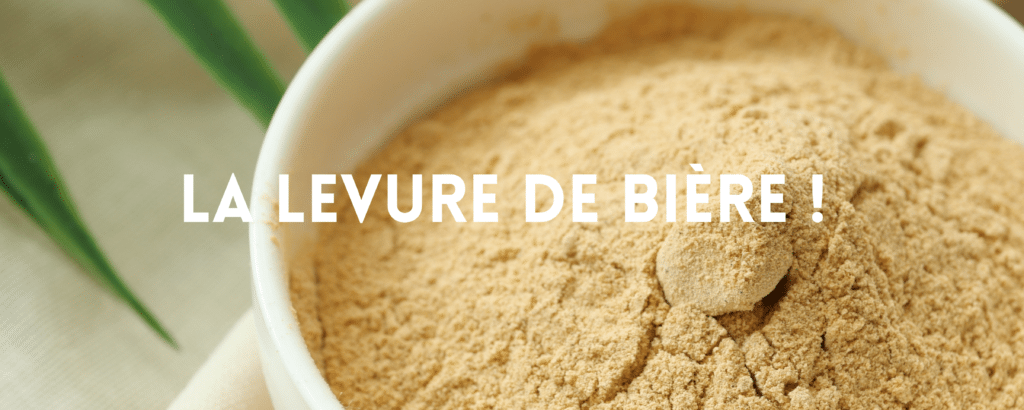 LEVURE DE BIERE : VISION