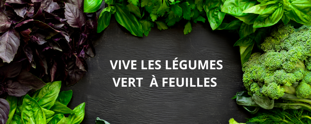 VIVE LES LEGUMES VERTS A FEUILLE 1 : VISION